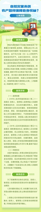 自然災(zāi)害來襲，農(nóng)戶如何保障自身權(quán)益？