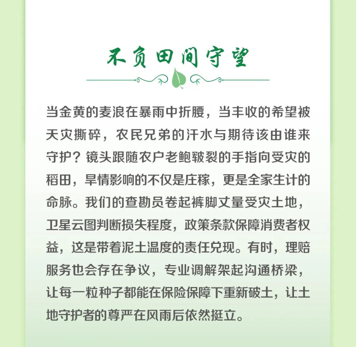 2不負(fù)田間守望